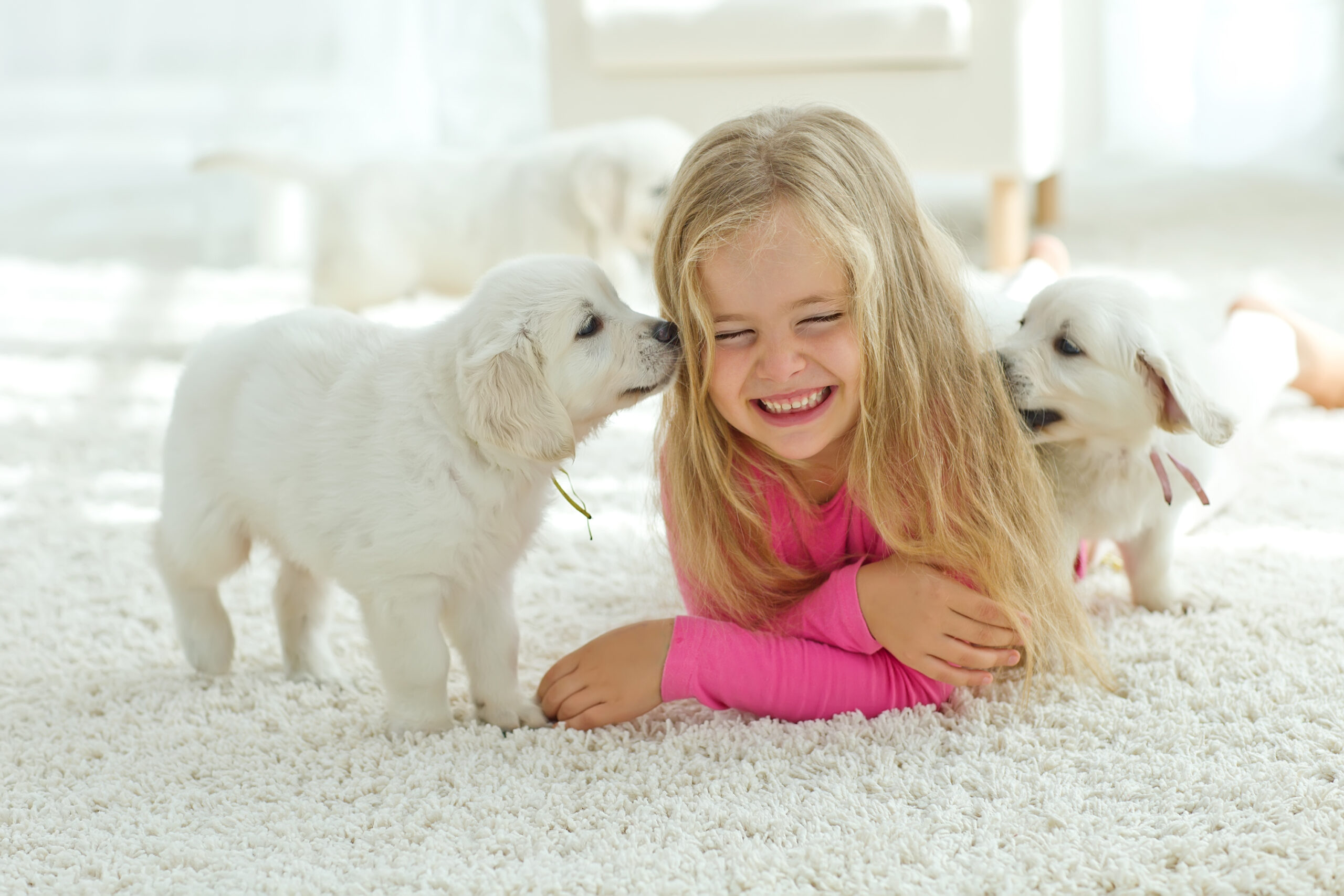 Little Girl with Puppies